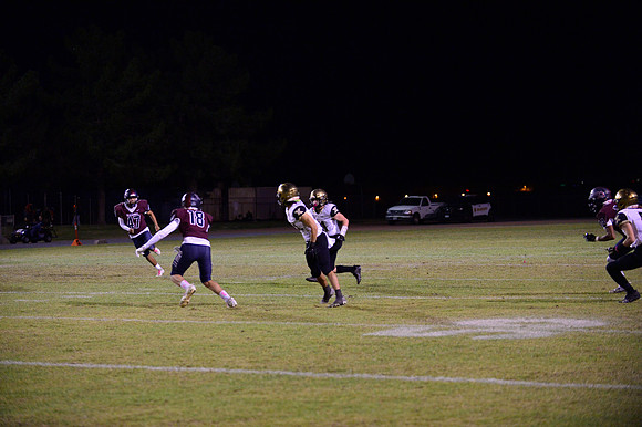 _DSC3395