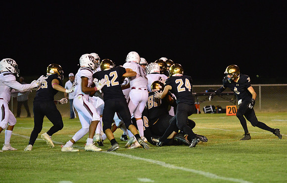 _DSC7102