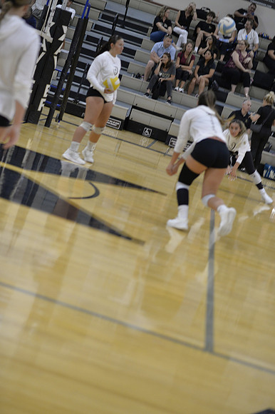 _DSC7187