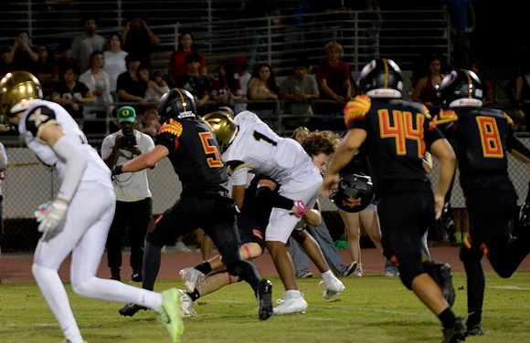 _DSC6514
